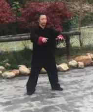 武当太极十三式动作分解教学带口令-道家养生网
