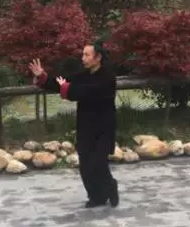 武当太极十三式动作分解教学带口令-道家养生网