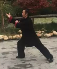 武当太极十三式动作分解教学带口令-道家养生网