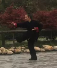 武当太极十三式动作分解教学带口令-道家养生网