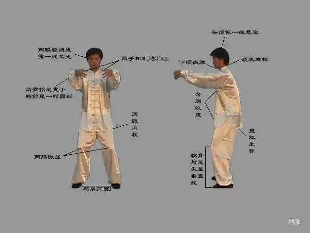 要把骨髓洗,先从站桩起 道家养生网