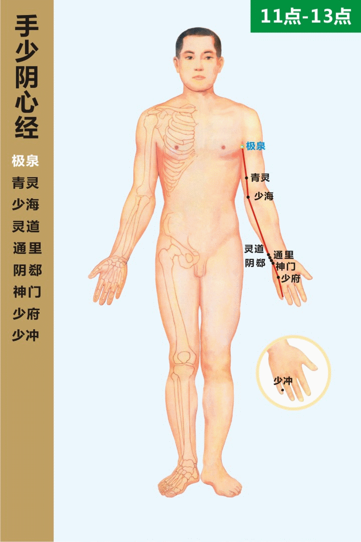 十二经络走向动态图 道家养生网