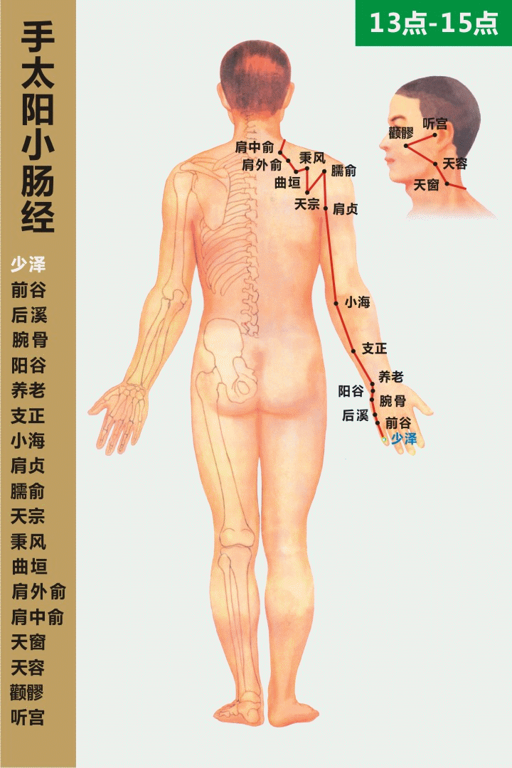 十二经络走向动态图 道家养生网