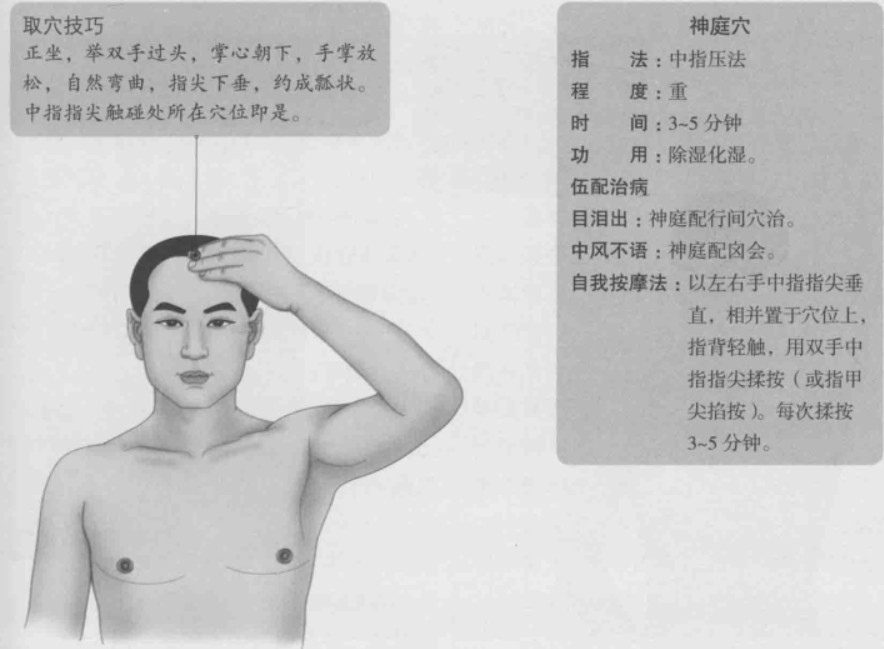 神庭的准确位置图作用功效 道家养生