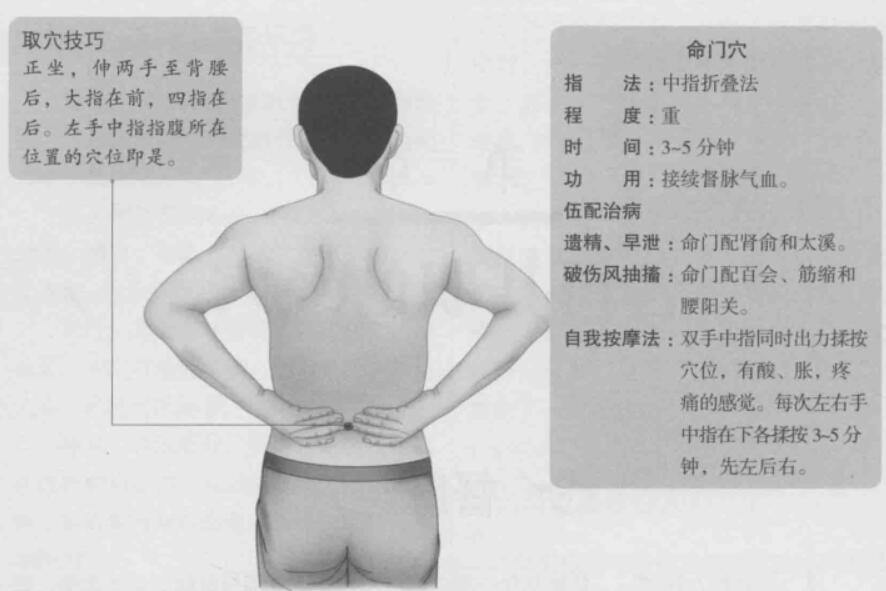 命门位置图和作用的准确位置图片 道家养生