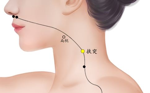 扶突的准确位置图,扶突穴的功用主治 道家养生