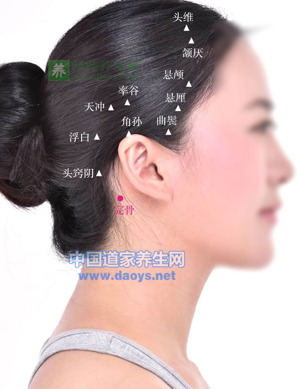 完骨的准确位置及作用