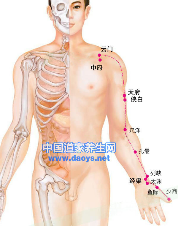 肺经不通的症状及调理方法 道家养生