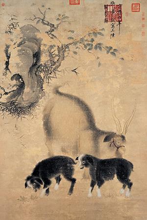 꼪黰 ̩˵