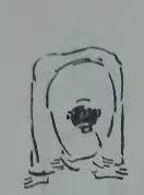 ֮׽壩׽
