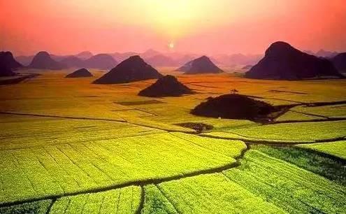 ļ綼Щҩģ