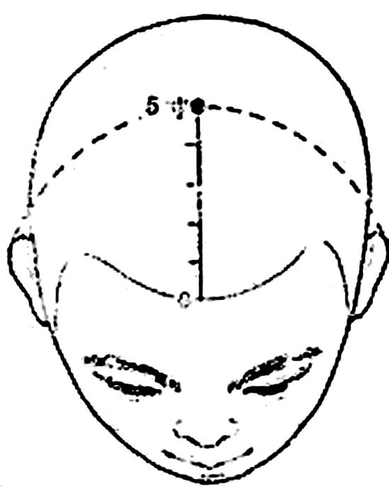 ˵